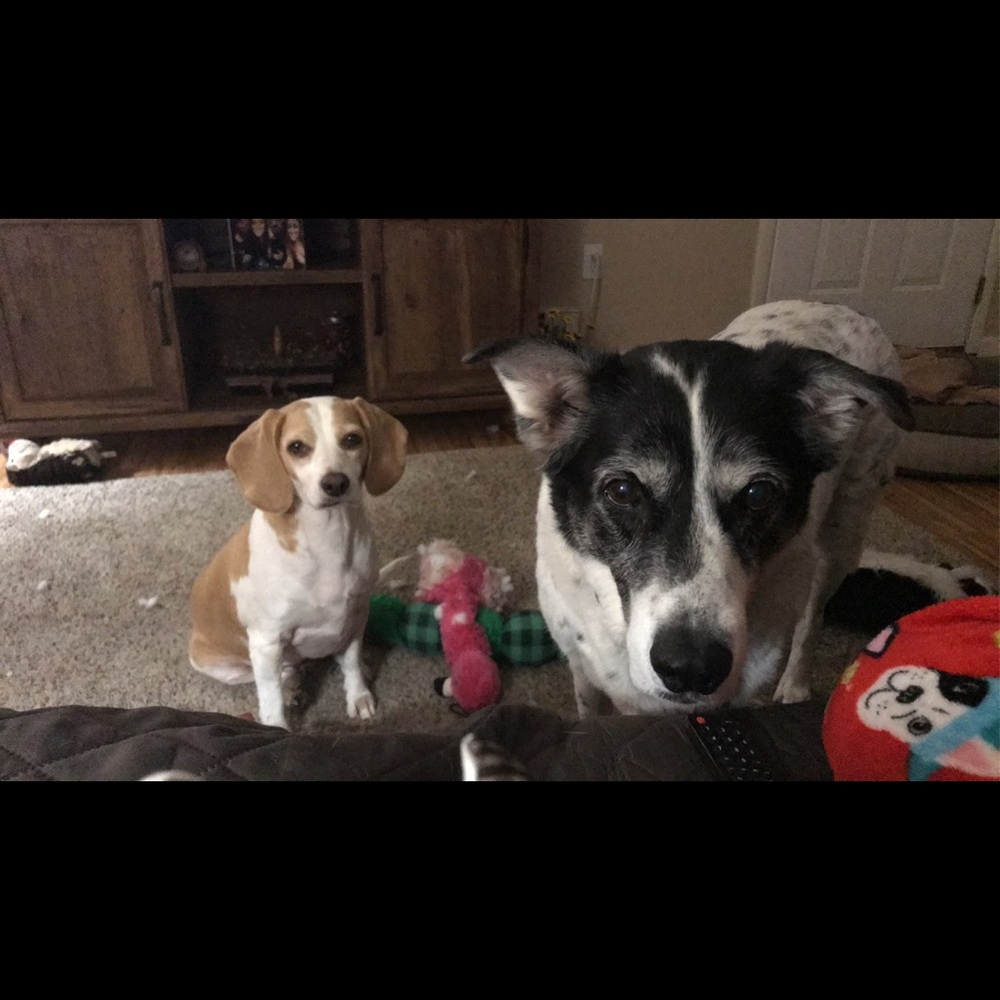 Meet your Posher, Kristina